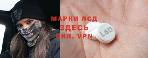индика Алексин