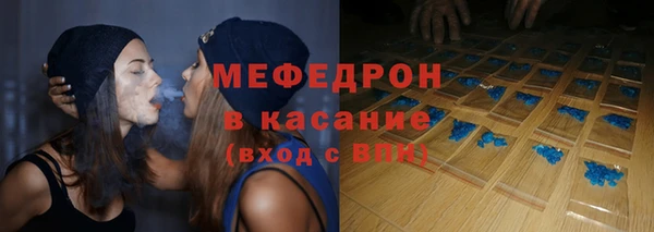 индика Алексин