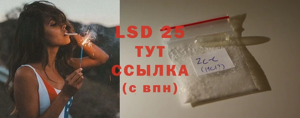 индика Алексин