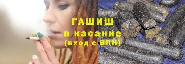 индика Алексин