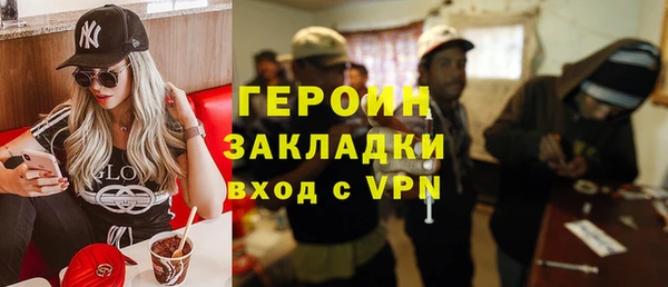 индика Алексин