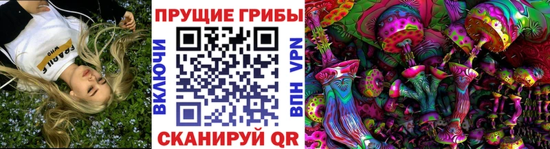 блэк спрут онион  Безенчук  Галлюциногенные грибы прущие грибы 